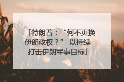 特朗普：“何不更换伊朗政权？” 以持续打击伊朗军事目标