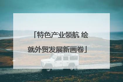 特色产业领航 绘就外贸发展新画卷
