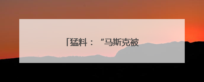 猛料：“马斯克被长期秘密监控！”