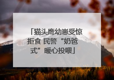 猫头鹰幼崽受惊拒食 民警“奶爸式”暖心投喂