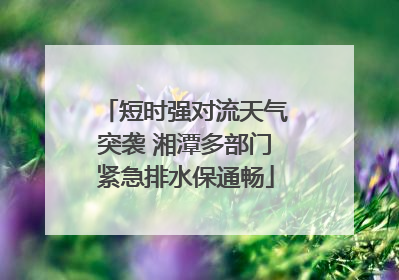 短时强对流天气突袭 湘潭多部门紧急排水保通畅