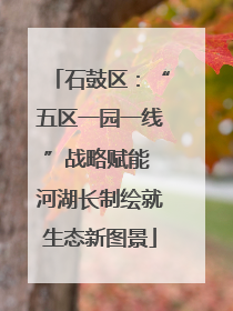 石鼓区：“五区一园一线”战略赋能 河湖长制绘就生态新图景