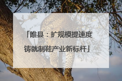 睢县：扩规模提速度 铸就制鞋产业新标杆