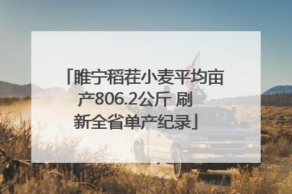 睢宁稻茬小麦平均亩产806.2公斤 刷新全省单产纪录