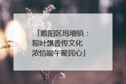睢阳区坞墙镇：粽叶飘香传文化 浓情端午聚民心