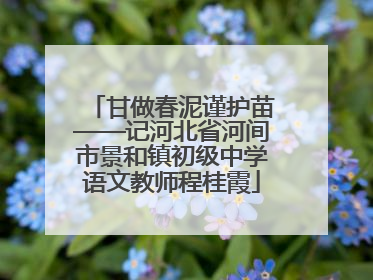 甘做春泥谨护苗——记河北省河间市景和镇初级中学语文教师程桂霞