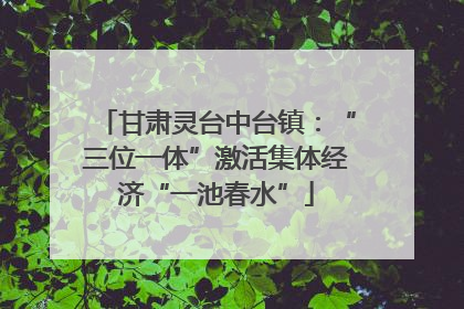 甘肃灵台中台镇：“三位一体”激活集体经济“一池春水”