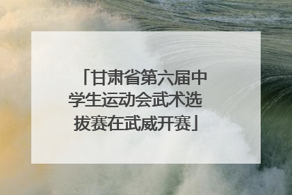 甘肃省第六届中学生运动会武术选拔赛在武威开赛