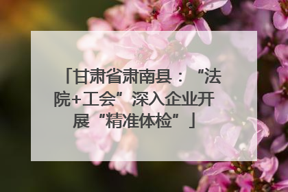 甘肃省肃南县：“法院+工会”深入企业开展“精准体检”