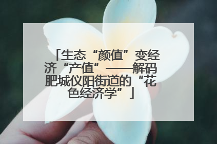 生态“颜值”变经济“产值”——解码肥城仪阳街道的“花色经济学”