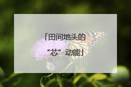 田间地头的“芯”动能