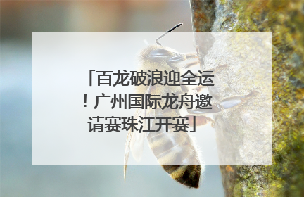 百龙破浪迎全运！广州国际龙舟邀请赛珠江开赛