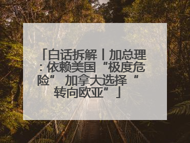 白话拆解丨加总理：依赖美国“极度危险” 加拿大选择“转向欧亚”