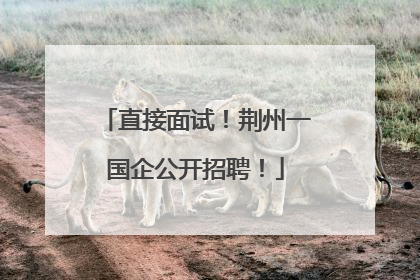 直接面试！荆州一国企公开招聘！