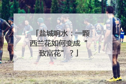 盐城响水：一颗西兰花如何变成“致富花”？