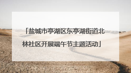 盐城市亭湖区东亭湖街道北林社区开展端午节主题活动