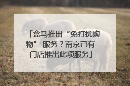 盒马推出“免打扰购物” 服务？南京已有门店推出此项服务