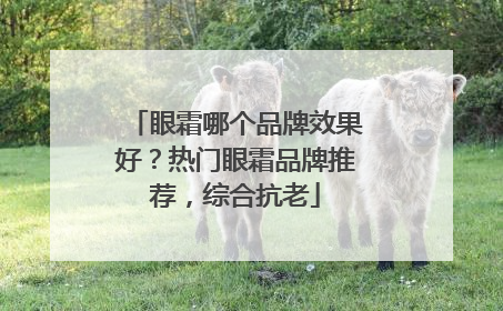 眼霜哪个品牌效果好？热门眼霜品牌推荐，综合抗老