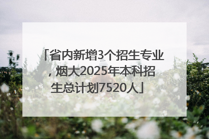 省内新增3个招生专业，烟大2025年本科招生总计划7520人