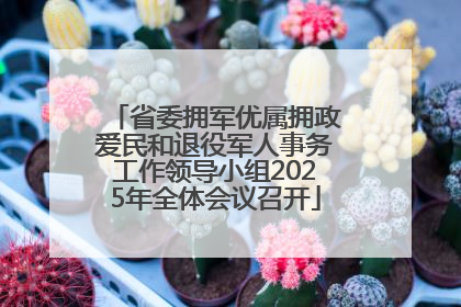 省委拥军优属拥政爱民和退役军人事务工作领导小组2025年全体会议召开
