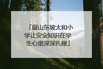 眉山东坡太和小学让安全知识在学生心里深深扎根
