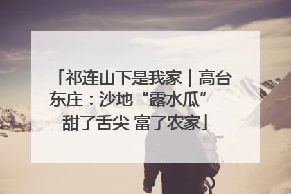 祁连山下是我家｜高台东庄：沙地“露水瓜” 甜了舌尖 富了农家