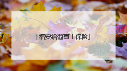 福安给葡萄上保险