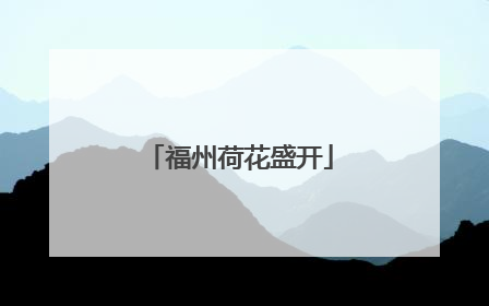 福州荷花盛开