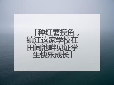 种红薯摸鱼，镇江这家学校在田间池畔见证学生快乐成长