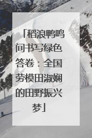 稻浪鸭鸣间书写绿色答卷：全国劳模田淑娴的田野振兴梦