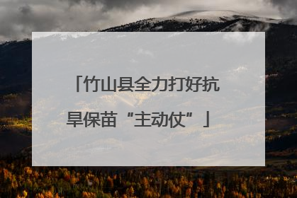 竹山县全力打好抗旱保苗“主动仗”