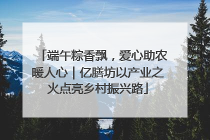 端午粽香飘，爱心助农暖人心｜亿膳坊以产业之火点亮乡村振兴路