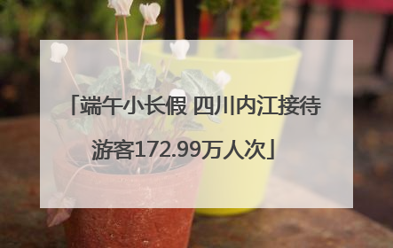 端午小长假 四川内江接待游客172.99万人次