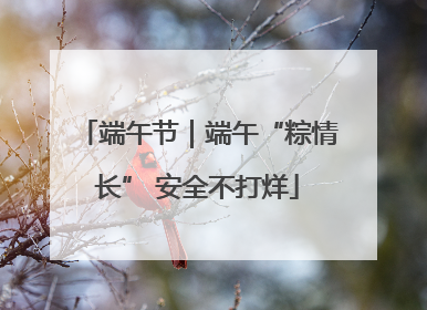 端午节｜端午“粽情长” 安全不打烊