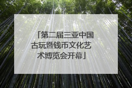 第二届三亚中国古玩暨钱币文化艺术博览会开幕
