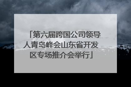 第六届跨国公司领导人青岛峰会山东省开发区专场推介会举行