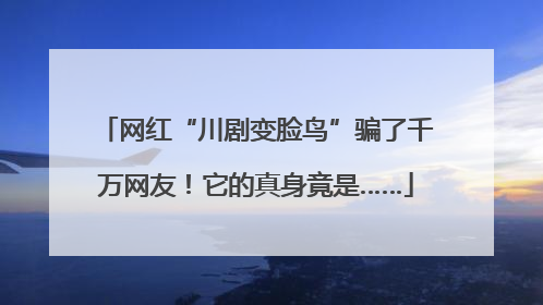 网红“川剧变脸鸟”骗了千万网友！它的真身竟是……