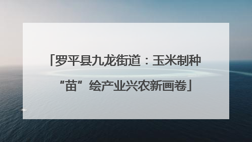 罗平县九龙街道：玉米制种“苗”绘产业兴农新画卷