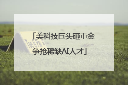 美科技巨头砸重金争抢稀缺AI人才