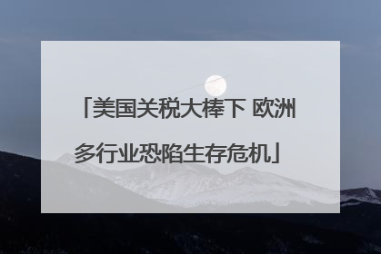 美国关税大棒下 欧洲多行业恐陷生存危机