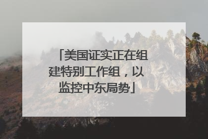 美国证实正在组建特别工作组，以监控中东局势