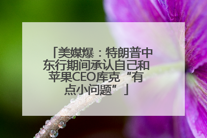 美媒爆：特朗普中东行期间承认自己和苹果CEO库克“有点小问题”