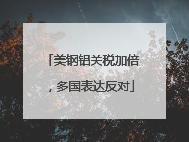 美钢铝关税加倍，多国表达反对