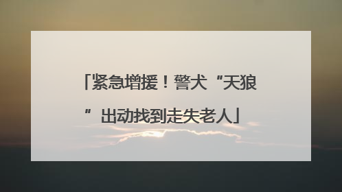 紧急增援！警犬“天狼”出动找到走失老人