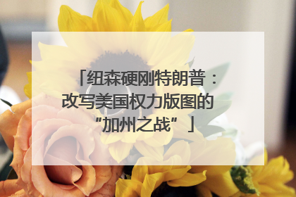 纽森硬刚特朗普：改写美国权力版图的 “加州之战”