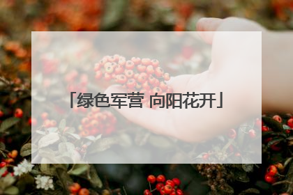 绿色军营 向阳花开