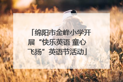 绵阳市金峰小学开展“快乐英语 童心飞扬”英语节活动