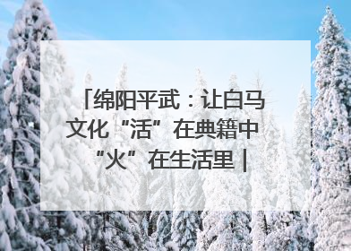 绵阳平武：让白马文化“活”在典籍中 “火”在生活里｜新闻发布最前线