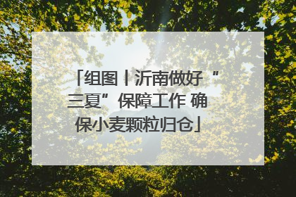 组图丨沂南做好“三夏”保障工作 确保小麦颗粒归仓