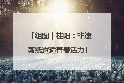 组图｜桂阳：非遗剪纸邂逅青春活力